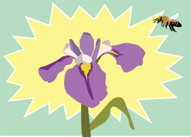 Drawing of a purple flower with a bee flying next to it.