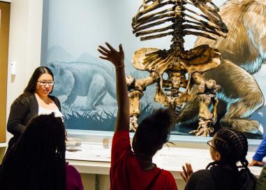 Tour group in front of giant sloth