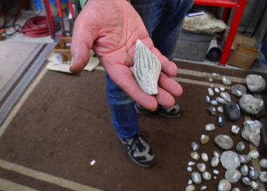 fossil shell in Kent Gibson's hand