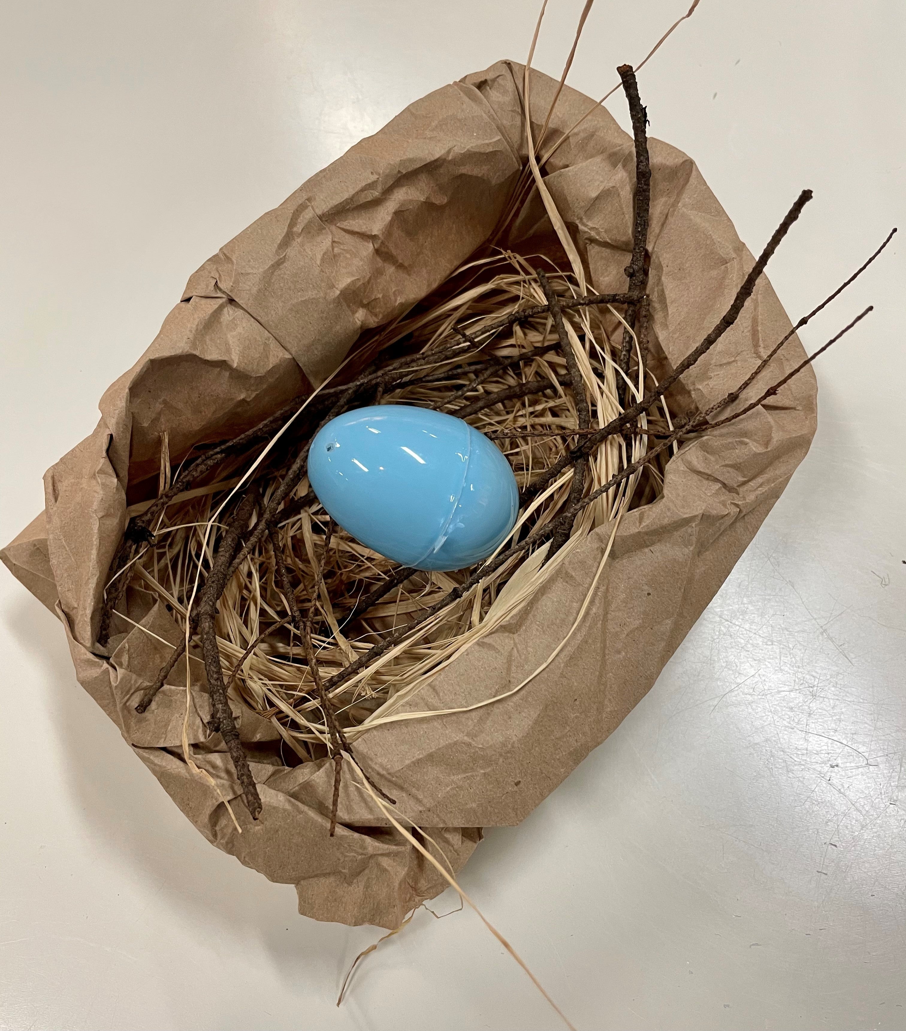 Bird Nest craft