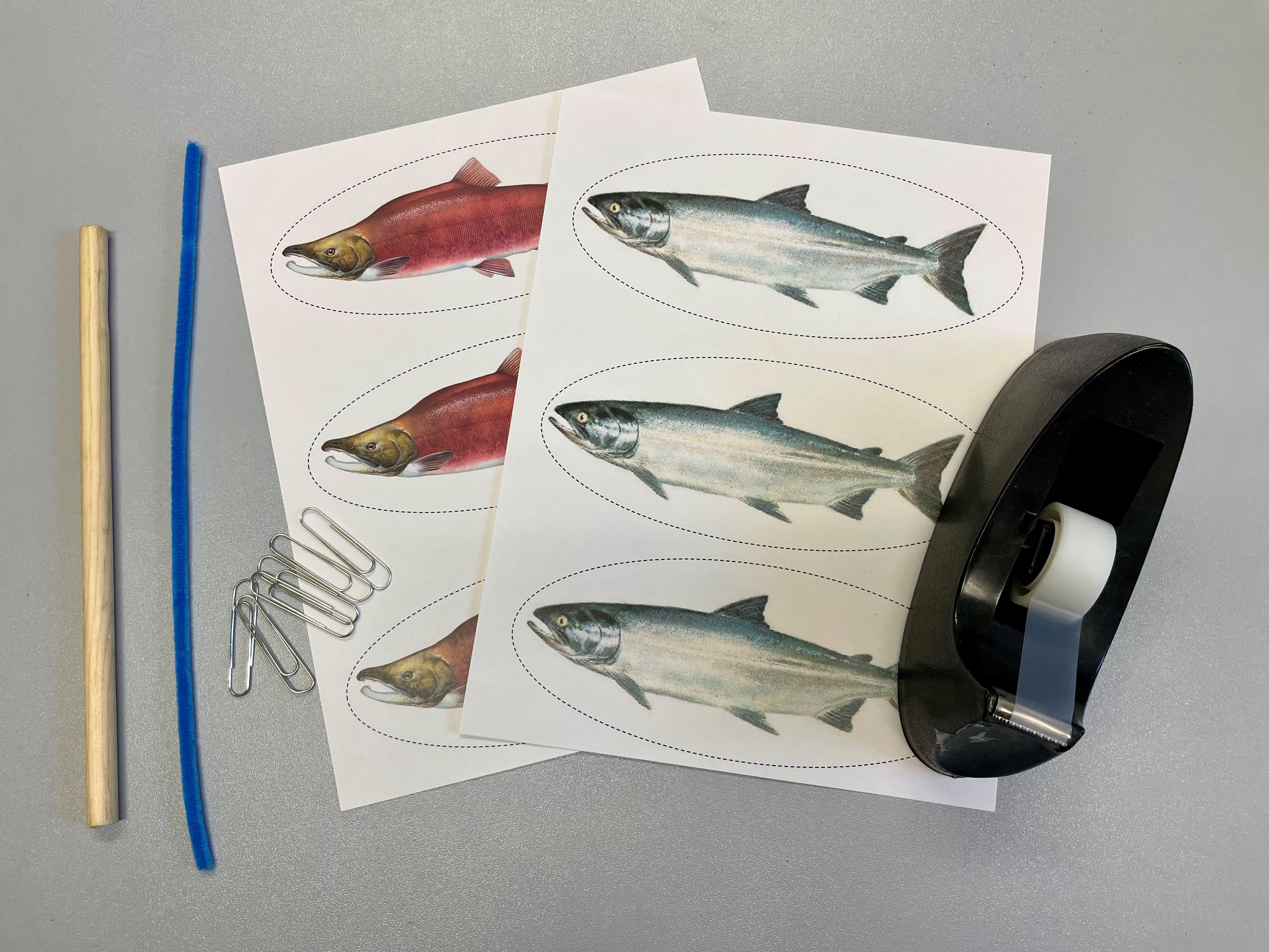 Drawings of 6 salmon ready to be cut out for a craft
