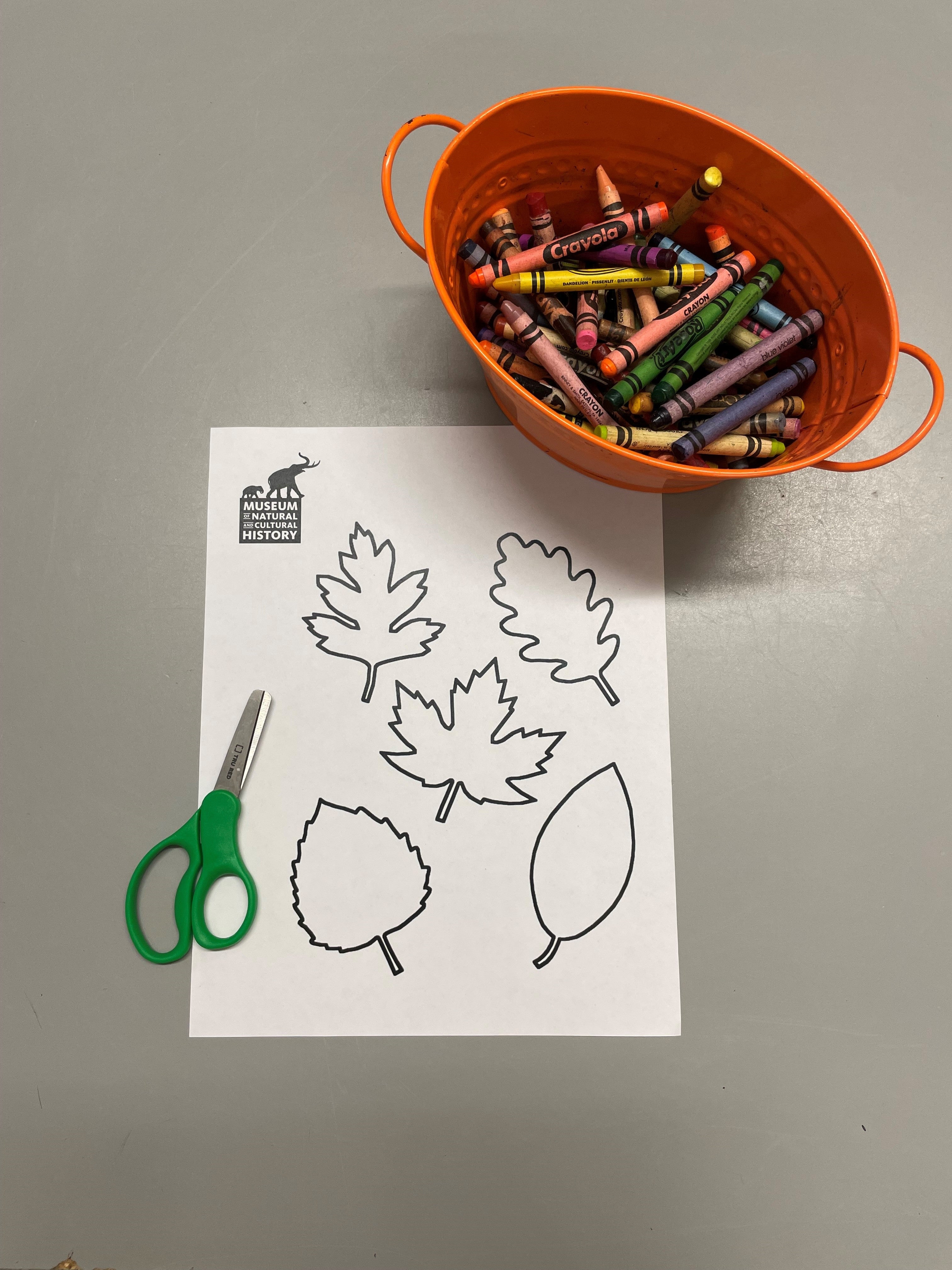 Lots of leaves activity with crayons and scissors