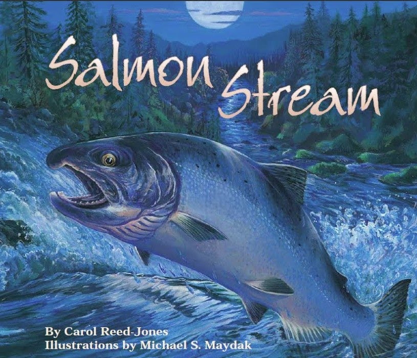 Looking Closely at the Salmon Stream book cover, showing a photo of a salmon, jumping out of a river at night. 