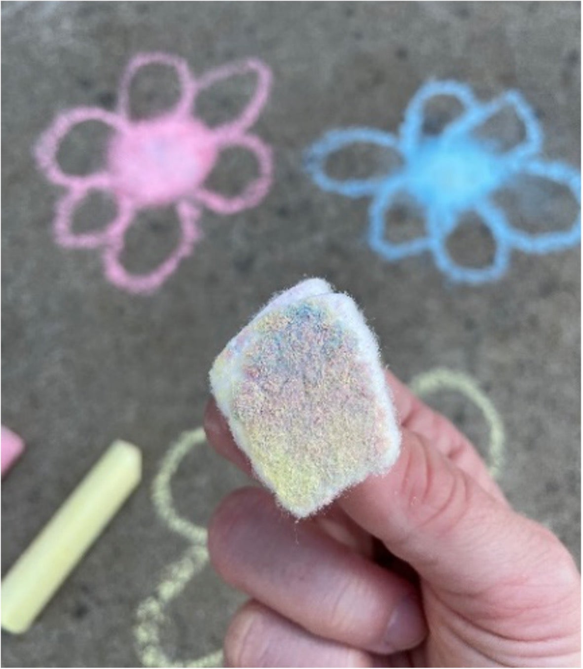 A cotton ball that's been saturated with chalk is used to simulate a pollinator who's been saturated with pollen 