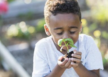 A child holds a plant in his hands and smells it