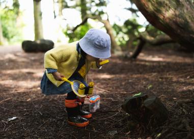 A child examining the forest floor using a yellow magnifying glass 