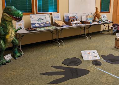 The Museum Adventures Oregon's Dino-Story set up